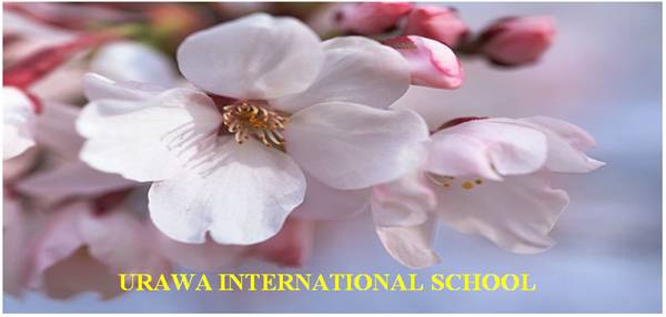 Trường Nhật ngữ quốc tế Urawa - Nhật Bản