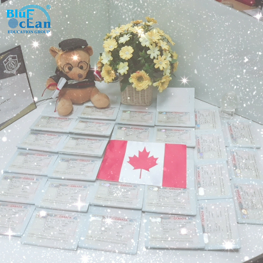 Du học hè Canada 2018 – Chúc mừng 34 thành viên đoàn hè Canada 2018 xin visa thành công