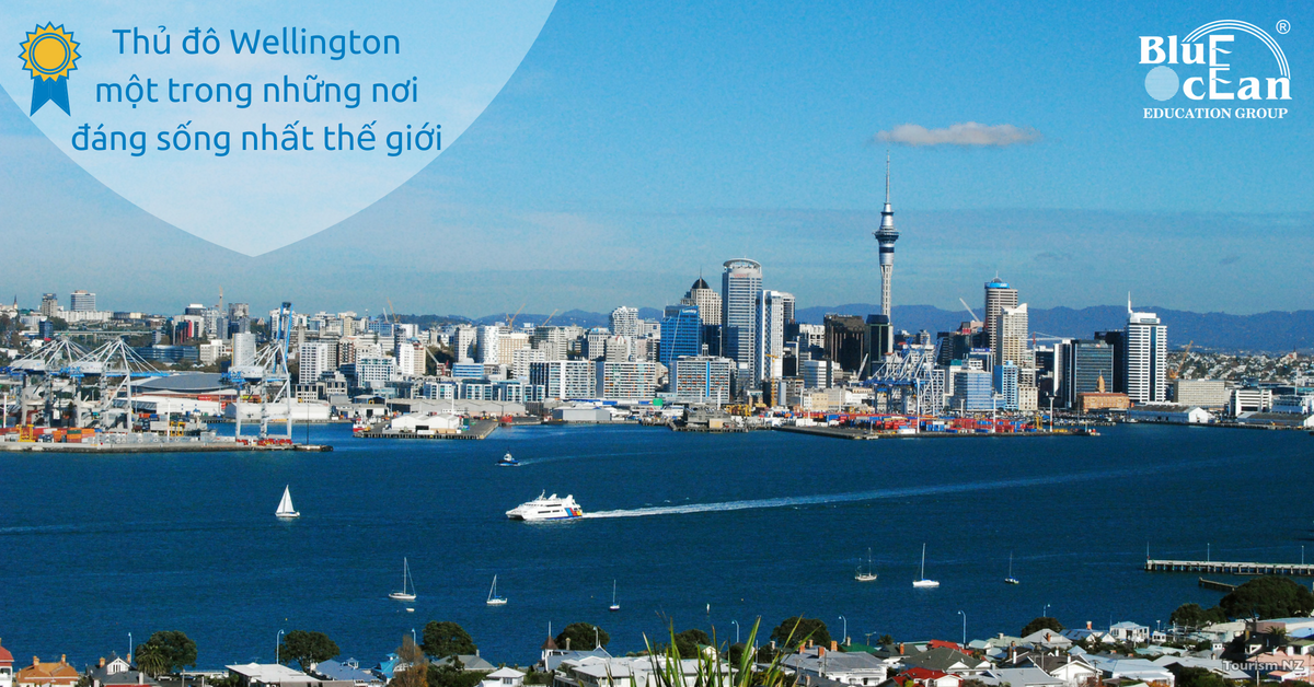 Học tập tại thủ đô Wellington - một trong những thành phố đáng sống nhất thế giới