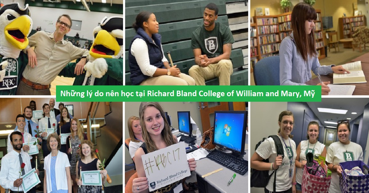 5 lý nên học tại Richard Bland College of William and Mary, Mỹ