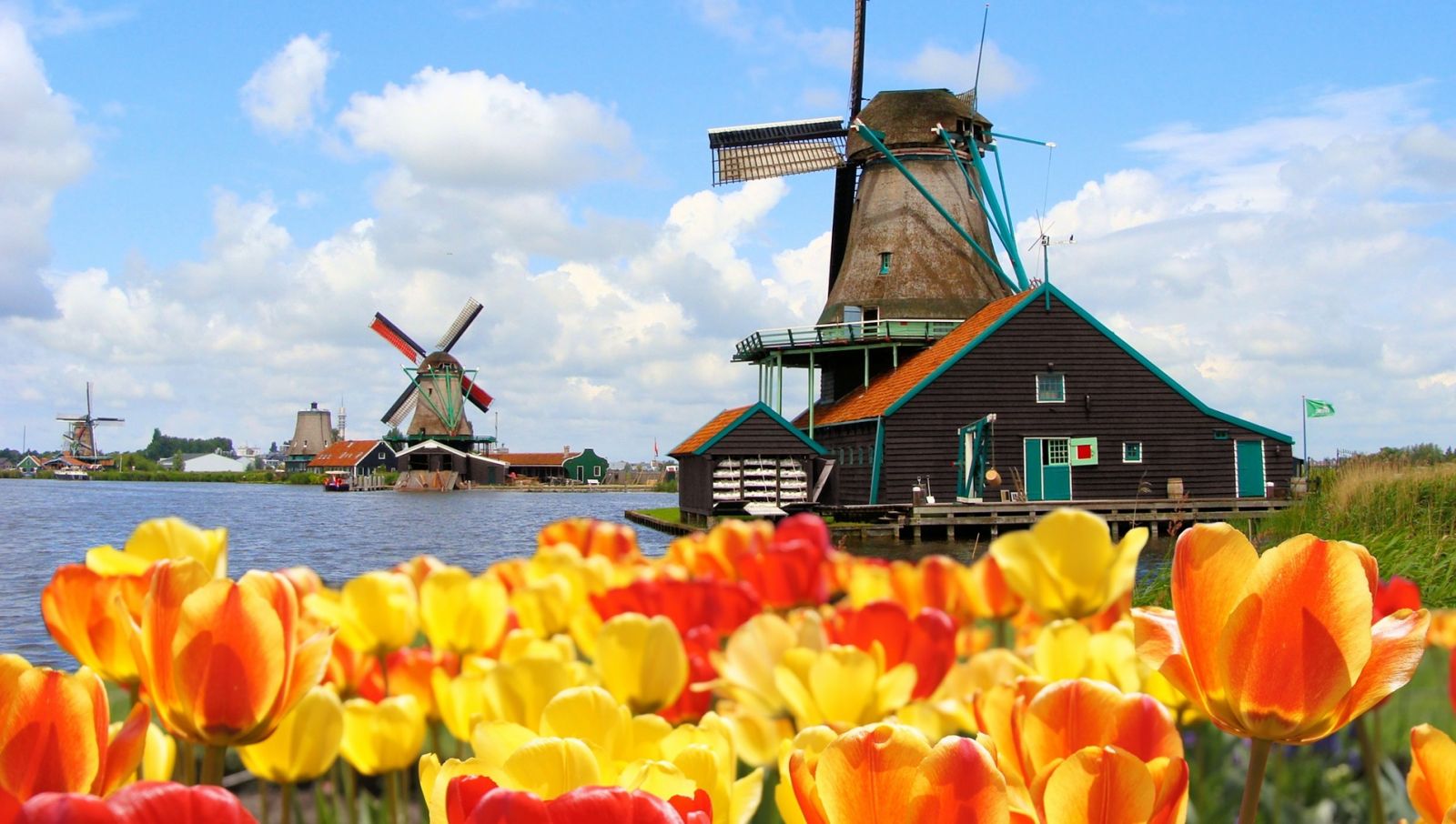 Hà Lan với vẻ đẹp yên bình và nổi tiếng với các bến cảng, cối xay gió, giày gỗ, hoa tulip